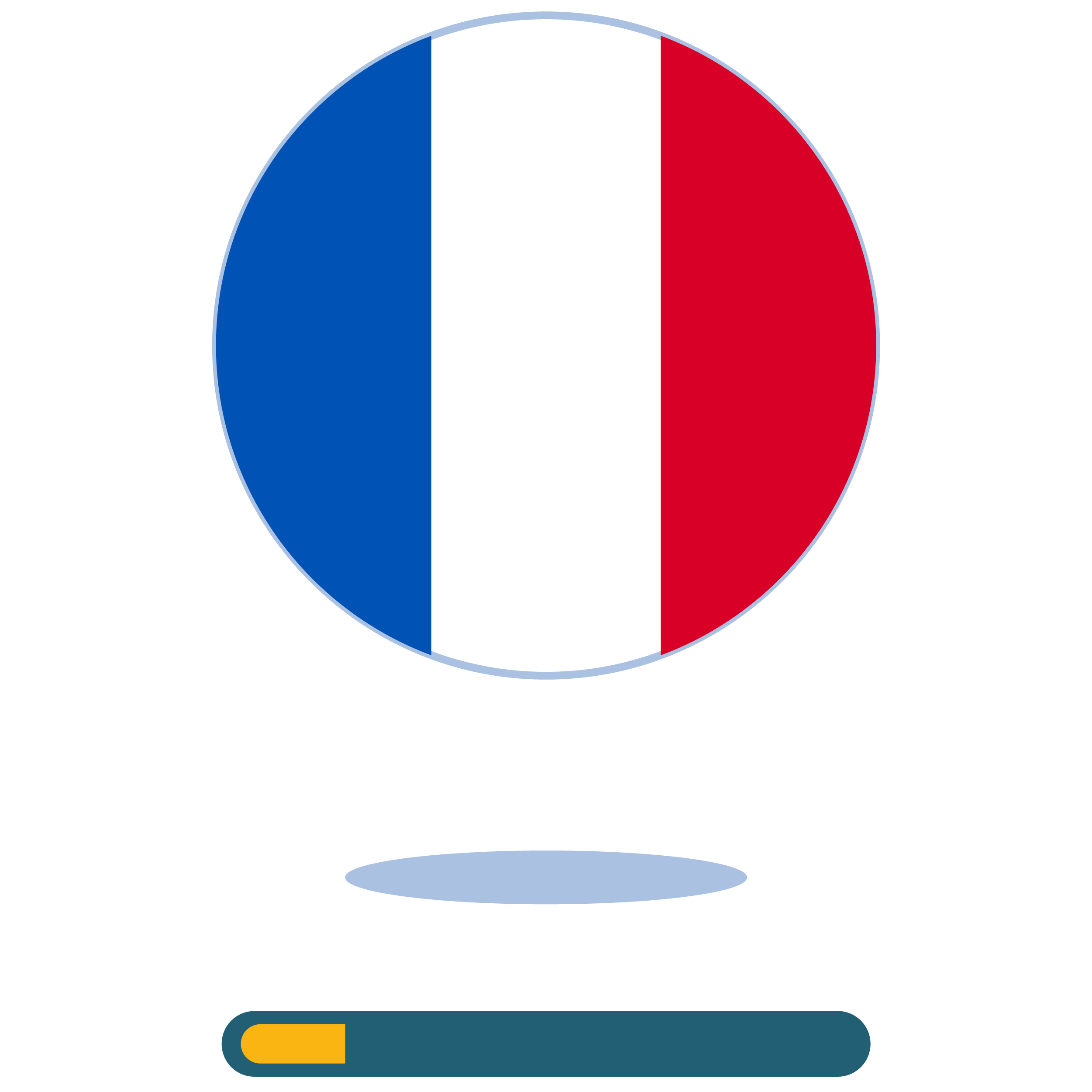 France - flag